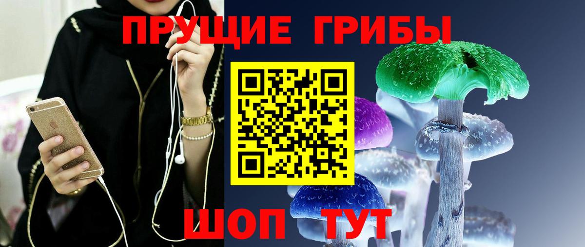 Ипатово  Галлюциногенные грибы Cubensis  наркота  Вход с VPN 